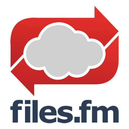 File 3